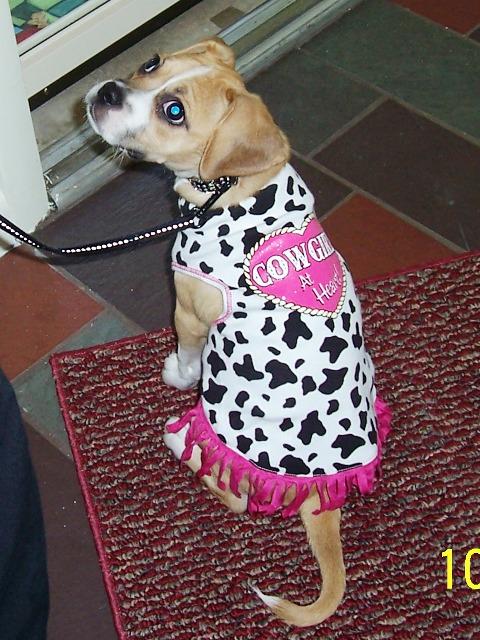 100_3117.JPG - Do I really have to wear this?