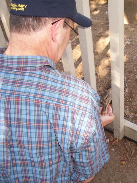 100_3241.JPG - Mark feeding one of the many tame ducks at Dollywood.