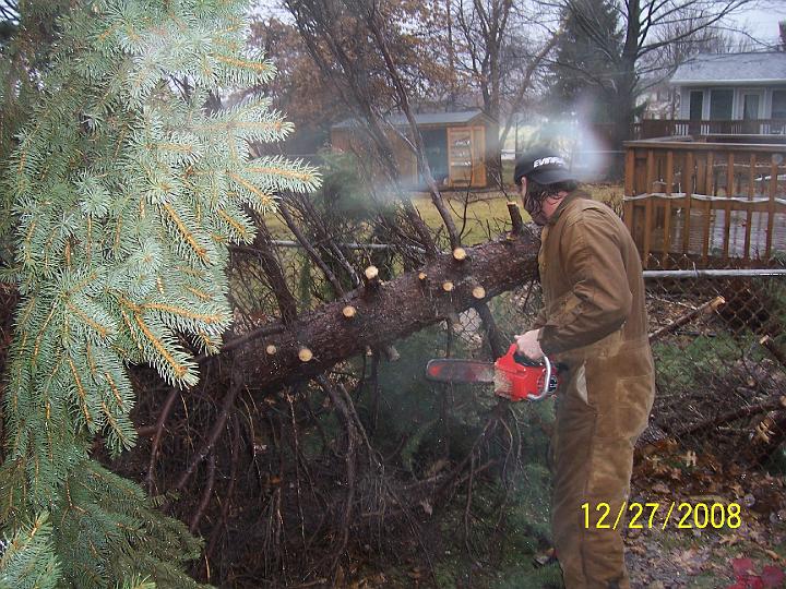 100_4384.JPG - Here's our neighbor Brian stripping the tree with his chain saw.