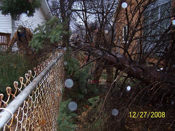 100_4386.JPG - The very top of the tree stuck in the neighbor's gutter (at top left.)