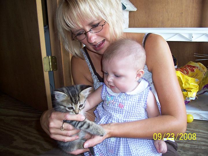 100_4011.JPG - Joy showing Macie one of the new kittens.