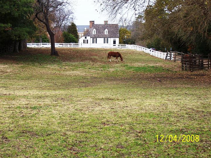100_4234.JPG - A pasture at Williamsburg.