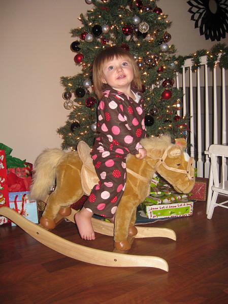 IMG_1295.JPG - This rocking horse ROCKS!