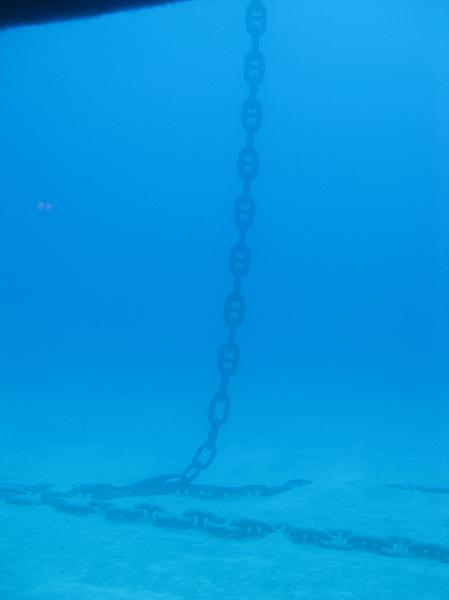 IMG_0086.JPG - About 100 feet down, we saw these chains which were anchoring barrels on the surface.