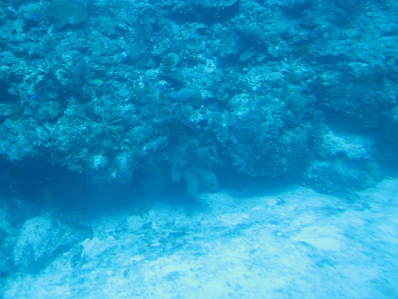 IMG_0093.JPG - Some of the interesting rock and sponge on the ocean floor.